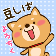 Cute Shibainu Cute Shibainu