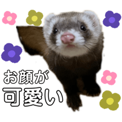 omochi_20200621000858