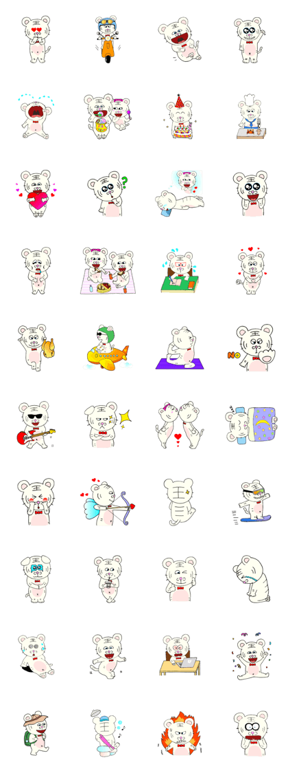 White tiger NEHO & BECKY's daily life