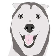 husky is a cute dog. husky is a cute dog.