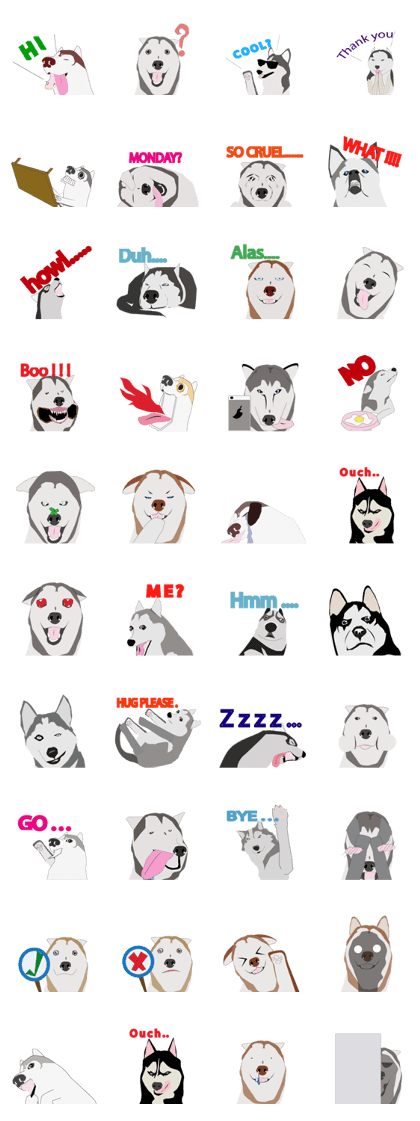 husky is a cute dog. husky is a cute dog.