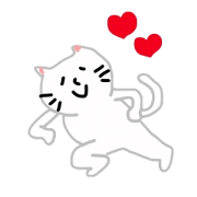 cat and human cat and human