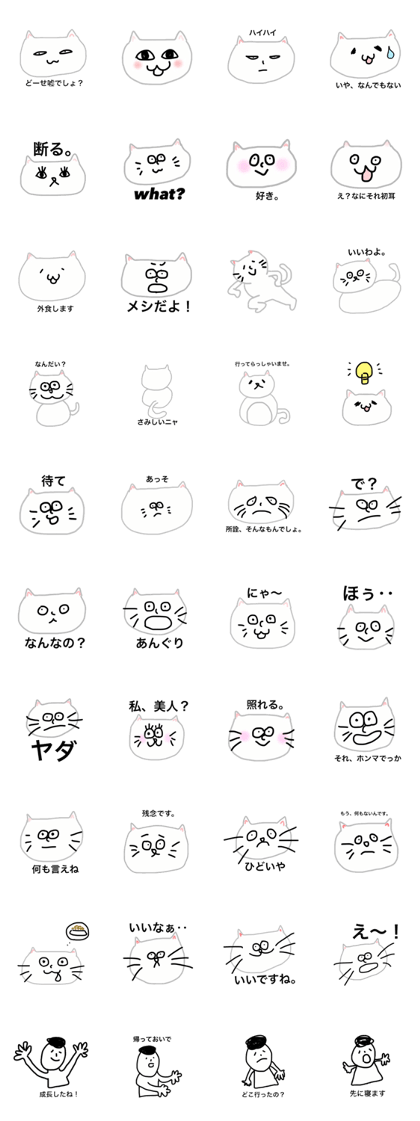 cat and human cat and human