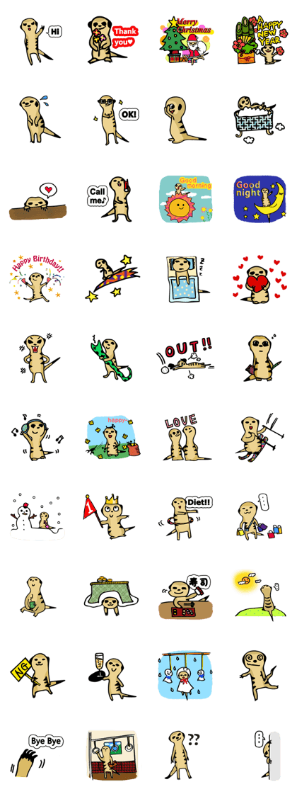 Meerkat Runa Meerkat Runa