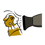 bird G and kit bird G and kit