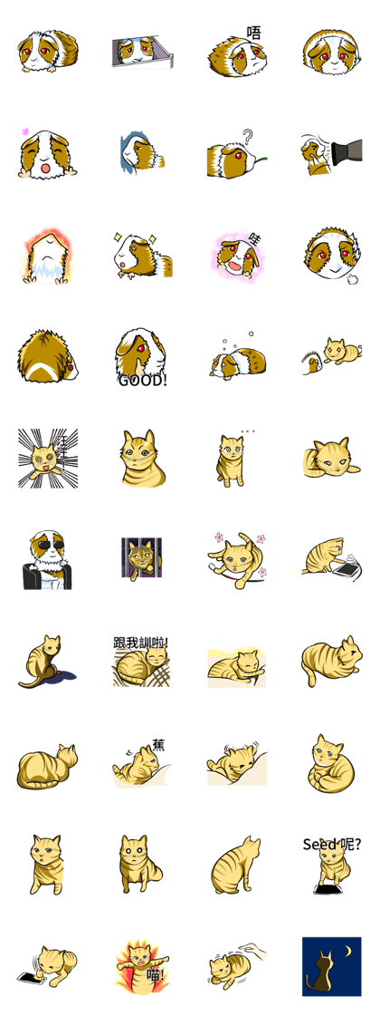 bird G and kit bird G and kit