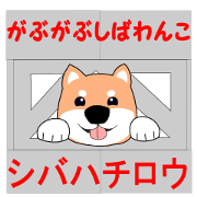 Gabu Gabu Shiba Wanko "Shibahachirou".