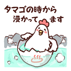 Dry chicken hot spring egg