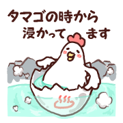 Dry chicken hot spring egg