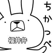 Dialect rabbit [fukui]