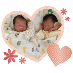 hikari_20200621031222