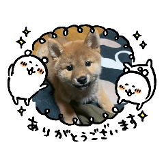 saori_20200621094441