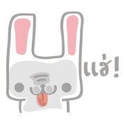 The Little Bunny The Little Bunny