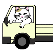 I am a cat.Thank you.4! I am a cat.Thank you.4!