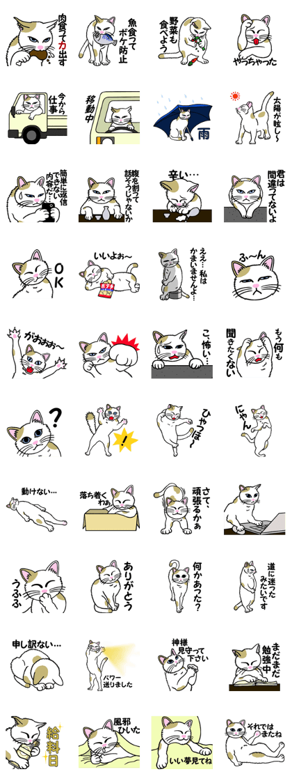 I am a cat.Thank you.4! I am a cat.Thank you.4!