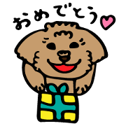 my pet's teddy my pet's teddy