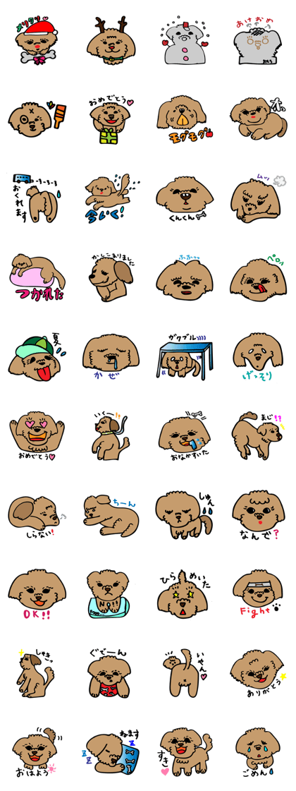 my pet's teddy my pet's teddy