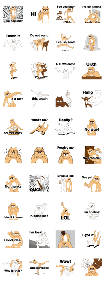 New species Cat(English)