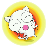 Holiday of white cat