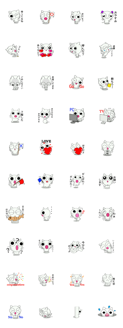 Holiday of white cat