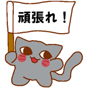 Every day Peta [cat]