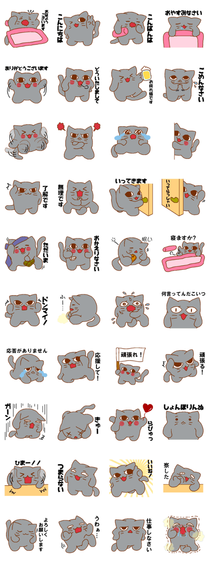 Every day Peta [cat]