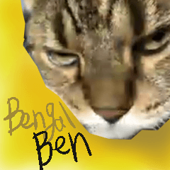 Bengal Ben (Japanese ver)