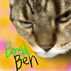 Bengal Ben (English ver)