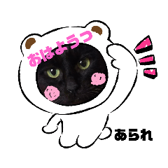 akiko_20200621145722