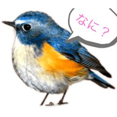 鳥 Lineクリエイターズスタンプまとめ Stamplist Part 3