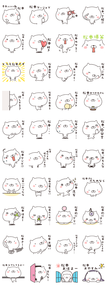 cute cat -MATSUMOTO- cute cat -MATSUMOTO-