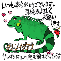 iguana2