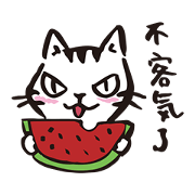 Nekomaru's wonderful life