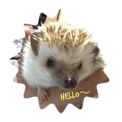 takashi_20200621115819