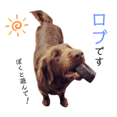 saiko_20200621150534