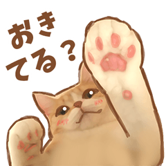 Daily life cat Sticker