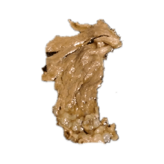 火鍋的奇妙冒險