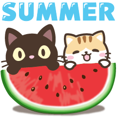 black cat and calico cat[summer]