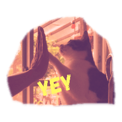 smile_20200621153044