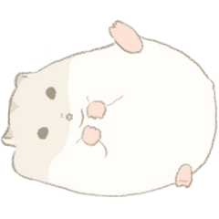 Cute pudding hamster