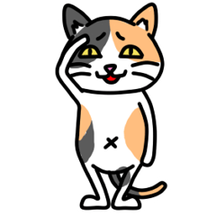 Calico cat every day