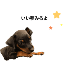 HARUNA_20200621185006