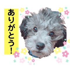 Hina's  stamp01