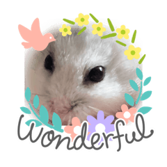 Permanent sleep hamster