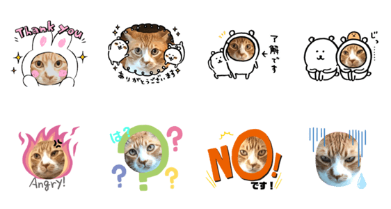 とら猫 とらさん Lineクリエイターズスタンプ Stamplist
