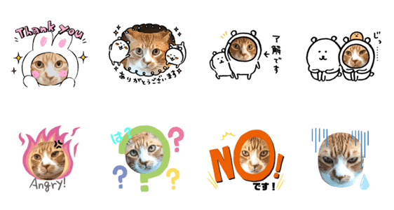 とら猫 とらさん Lineクリエイターズスタンプ Stamplist