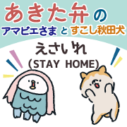 AMABIE and AKITAINU of Akita dialect