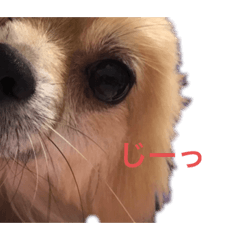 piano_20200621203650