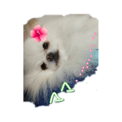 cocoa_20200621224722