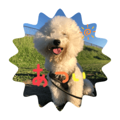 Hiyori_20200622061832